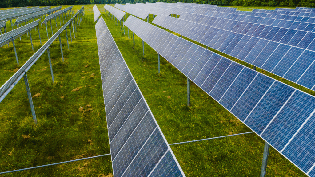 GreenGeeks: Pioneering Sustainable Web Hosting for a Greener Future