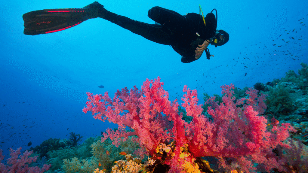 Unlocking Efficiency and Excellence: A Deep Dive into Service.Works
