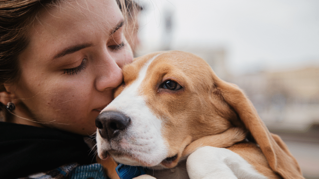 Pet Plate: A Nutritious Feast for Your Furry Friend