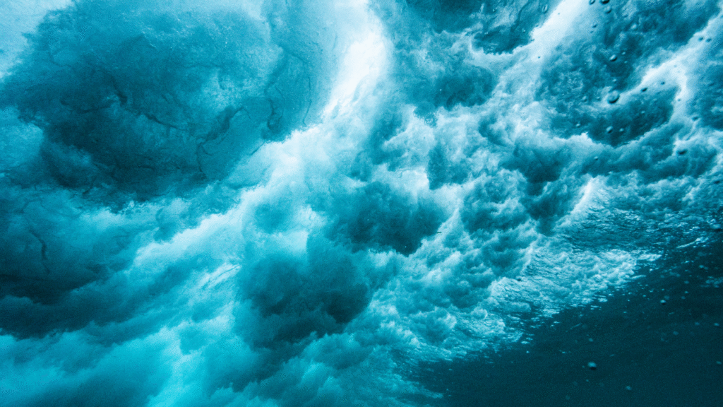 Riding the Waves: Exploring the Depths of Tidal Music Streaming
